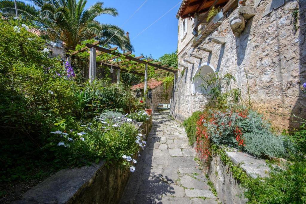 Stella City Center Accommodation Dubrovnik Luaran gambar