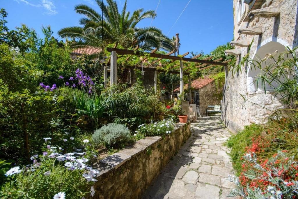Stella City Center Accommodation Dubrovnik Luaran gambar